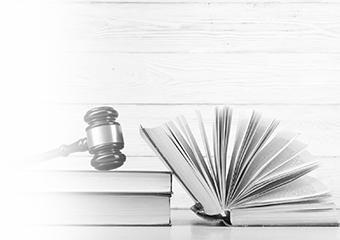Intensive work on the effective protection of human rights was carried out