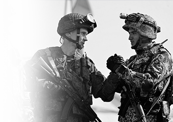 Cooperation with compatriots abroad established